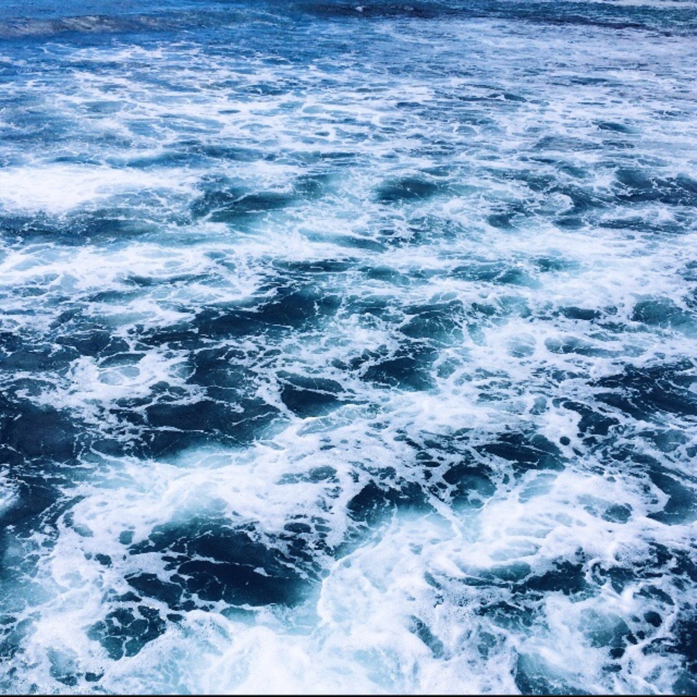 Meet your Posher, Regina